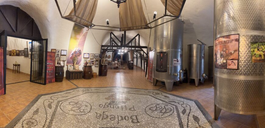 Cortijo Pilongo_Bodega